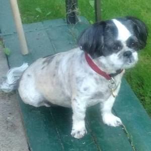 Meet your Posher, Sharon